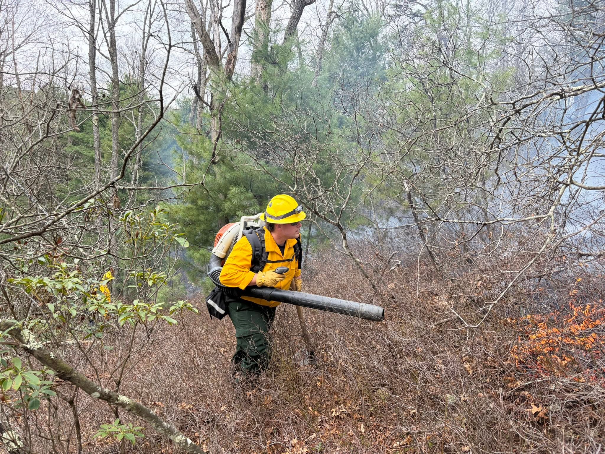 Volunteer Picture